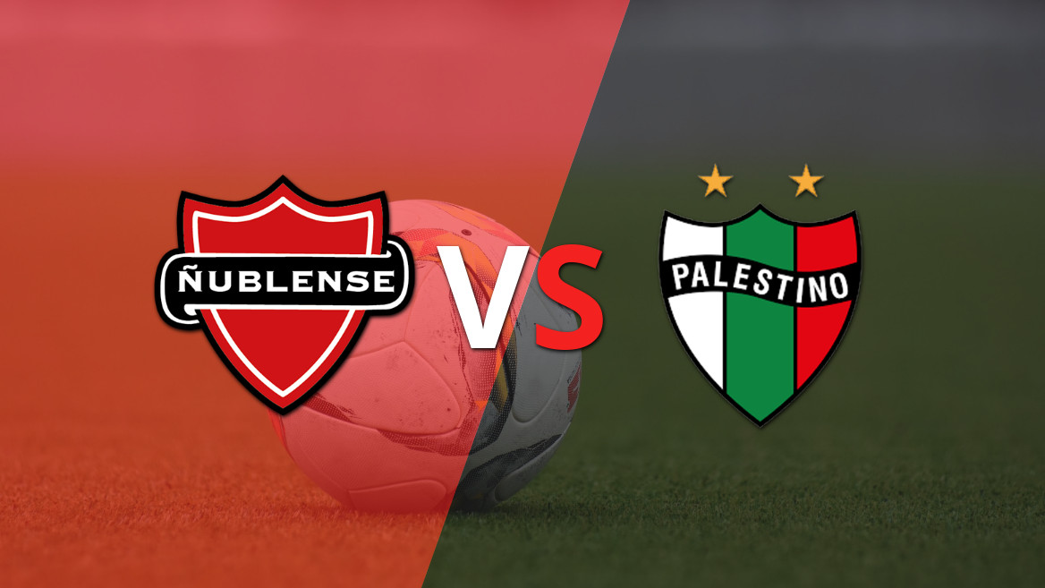 EN VIVO: Apretada victoria de Ñublense frente a Palestino