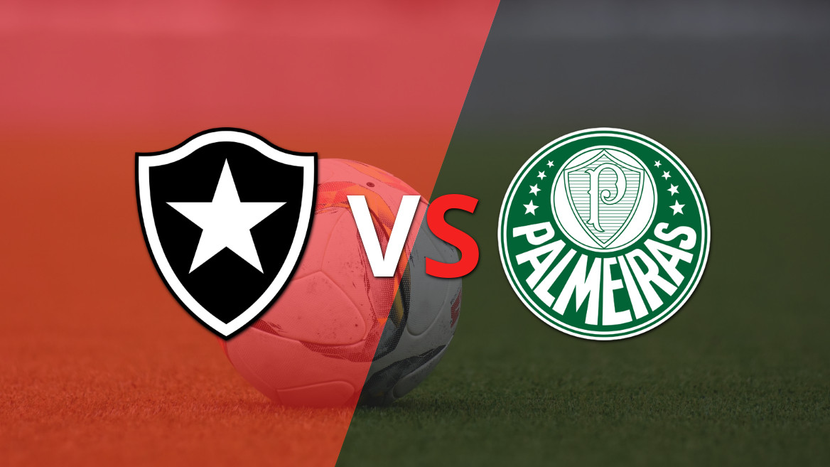 EN VIVO: Palmeiras se quedó con la victoria 1-0 ante Botafogo en el estadio el Engenhão