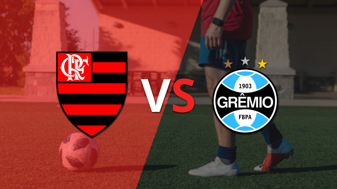 Flamengo Aims to Secure Three Points at Home Against Grêmio