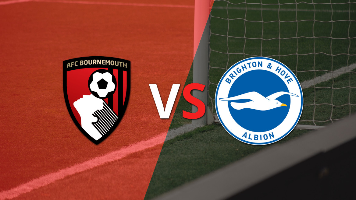 La previa del enfrentamiento entre Bournemouth y Brighton and Hove