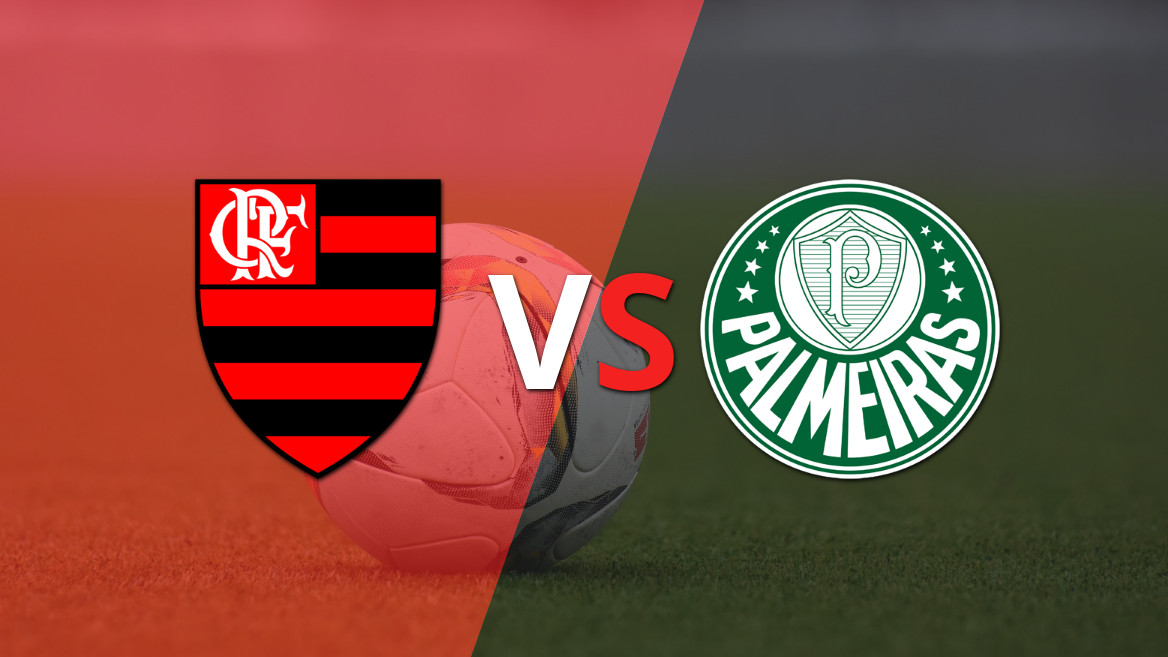 Flamengo e Palmeiras se enfrentam em busca da liderança