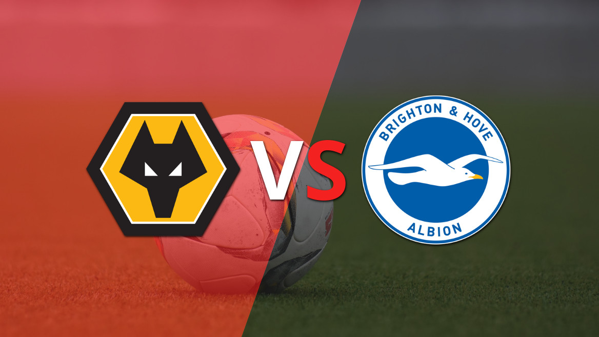 Wolverhampton enfrenta Brighton e Hove na sétima rodada da Premier League