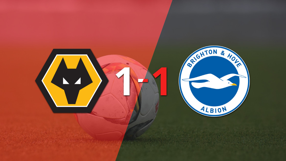 Jan van Hecke’s Late Equalizer Salvages Draw for Brighton and Hove Against Wolverhampton