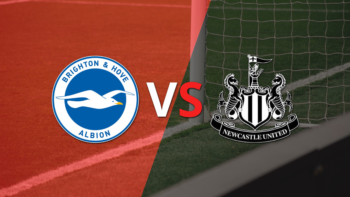 Brighton and Hove to Square Off Against Newcastle United in Matchday 8