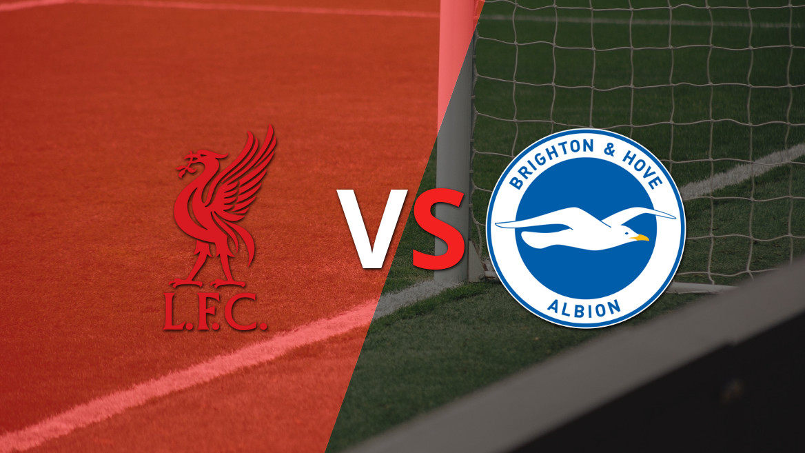 Liverpool e Brighton and Hove se enfrentam na 16ª rodada da Premier League