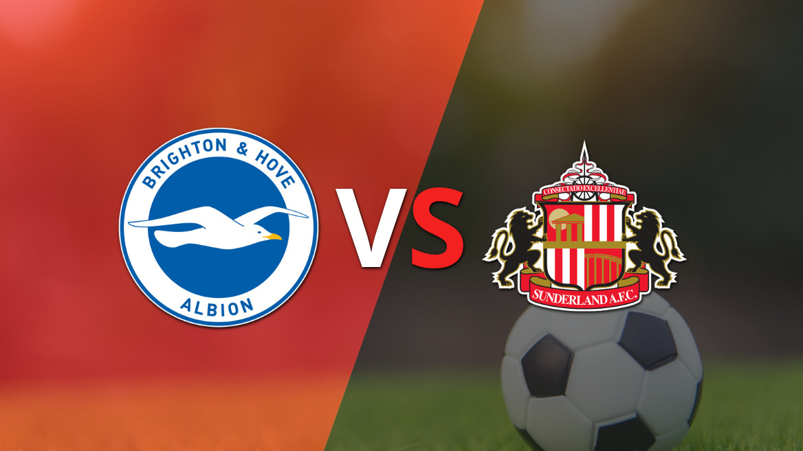 Preview do jogo entre Brighton e Hove e Sunderland na 17ª rodada