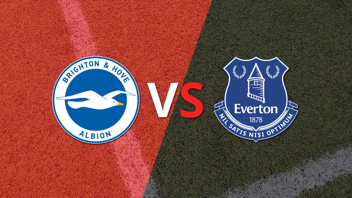 Brighton and Hove enfrenta Everton em partida crucial pela 24ª rodada