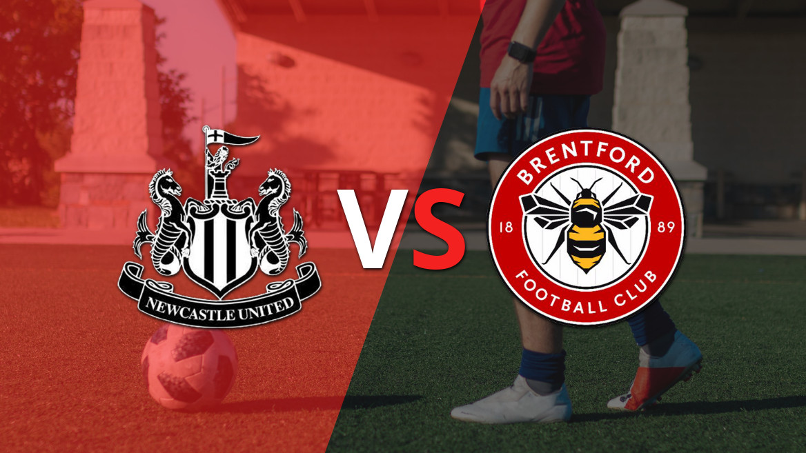 Newcastle United enfrenta Brentford na 25ª rodada da Premier League