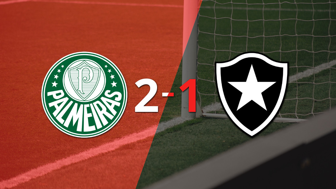 Palmeiras Secures a Narrow Victory at Home Against Botafogo