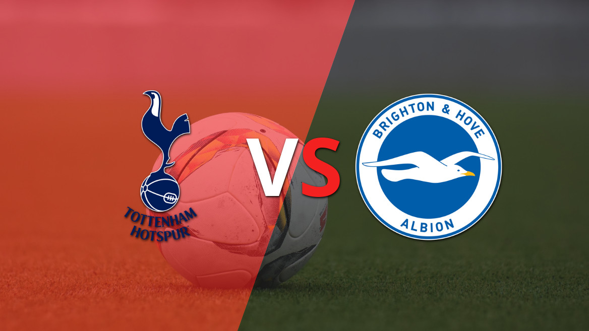 Tottenham busca romper la buena racha de Brighton and Hove en Wembley