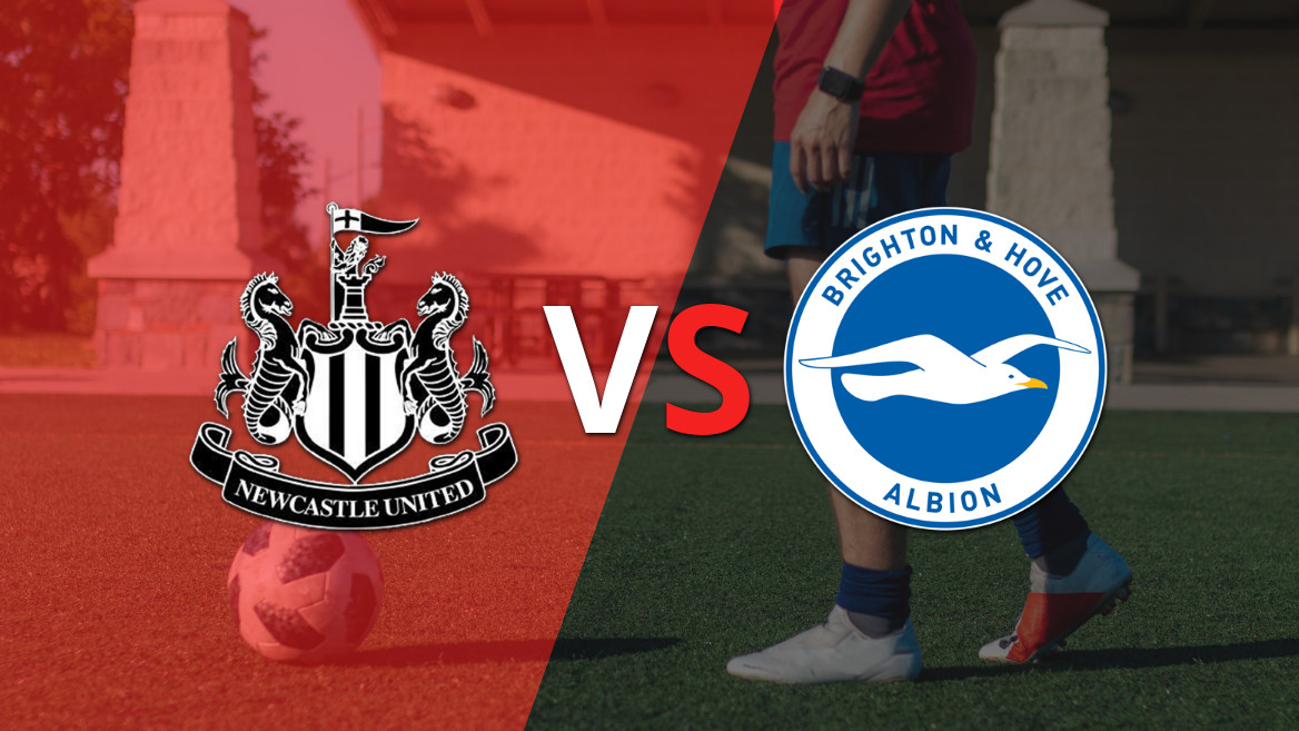 Previo al enfrentamiento: Newcastle United busca revertir su mala racha frente a Brighton and Hove