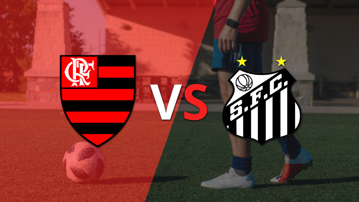 Flamengo Set to Battle Santos in Brasileirao Showdown