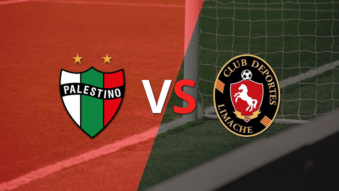 EN VIVO: Deportes Limache perdió 1-0 ante Palestino por un penal