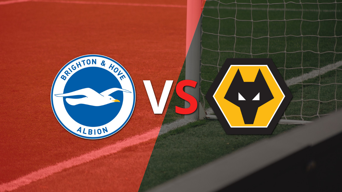 Brighton and Hove vs Wolverhampton: análisis y situación previa al partido
